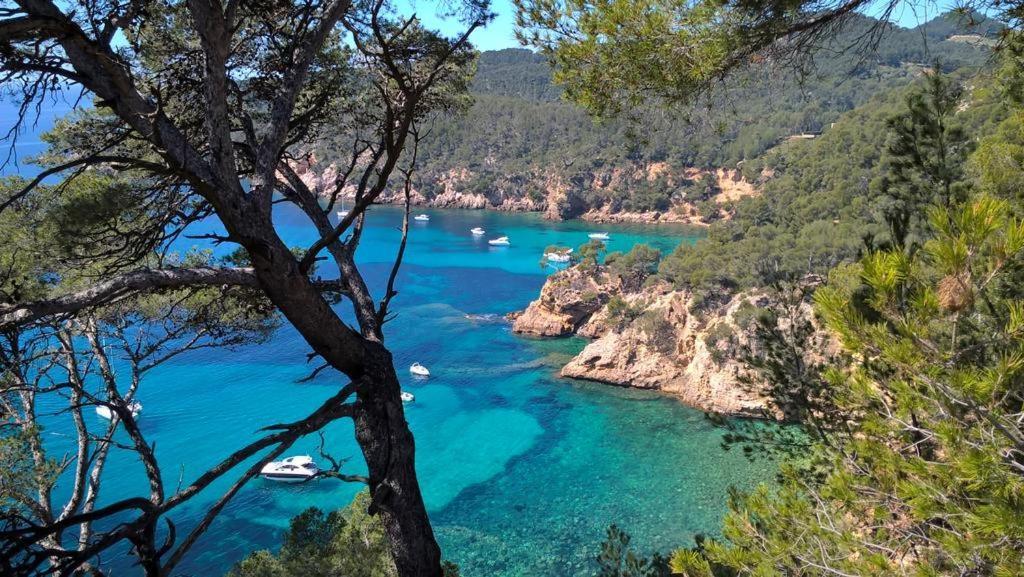 T2 Bandol Ideal Vacances 2 Etoiles Exteriér fotografie
